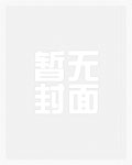 姐夫的私密日记